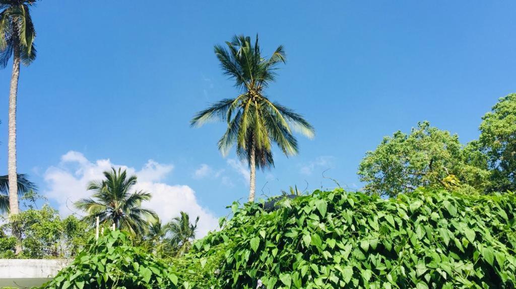 Villa Ceylon Home Unawatuna Luaran gambar